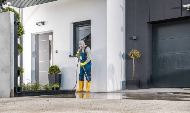 Best Building Exterior Washing  in Westmont, IL